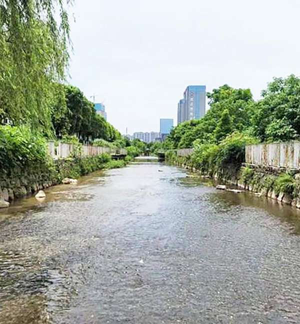 麻城市月亮湖综合整治工程